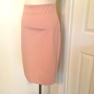 Philosophy Skirt- Pink